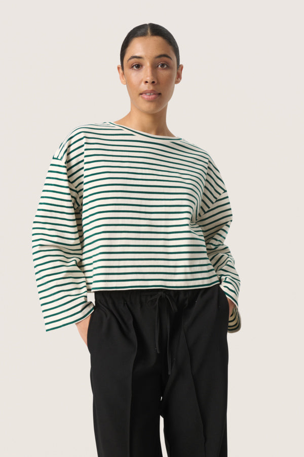 Neo Boxy Tee / White & Rain Forest Stripe