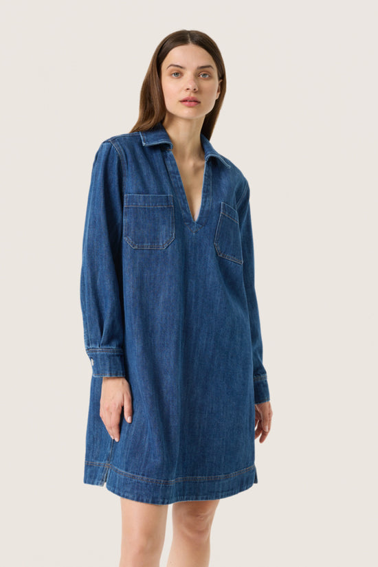 Zianna Dress / Medium Blue Denim